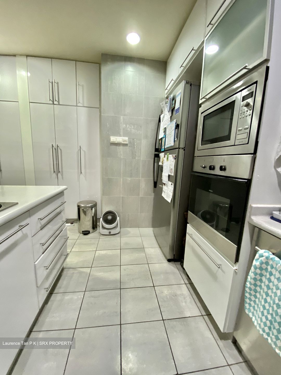 Cairnhill Crest (D9), Condominium #535243641